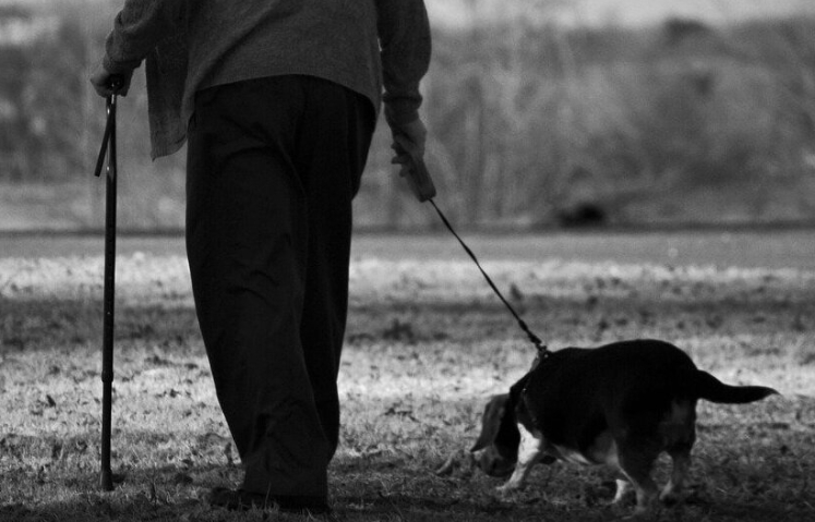 Αφού έχασε τη σύζυγο και τον γιο του, ο 91χρονος Μπερτ σταμάτησε να πιστεύει στα θαύματα. Όμως όλα άλλαξαν όταν στον δρόμο του εμφανίστηκε ένα εγκαταλελειμμένο κουτάβι μέσα σε ένα χάρτινο κουτί.