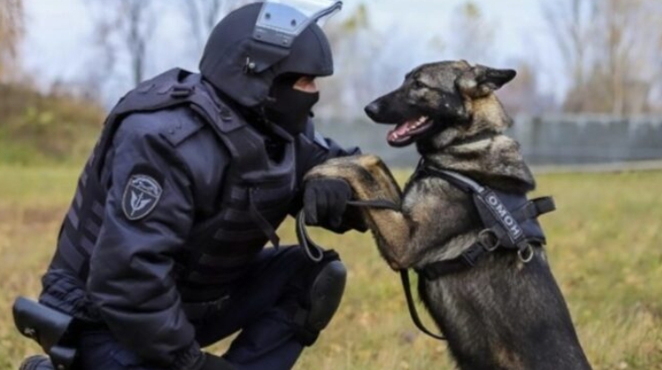 Ο ποιμενικός γάβγιζε προς το φέρετρο του αφεντικού του και πατούσε πάνω στα λουλούδια: όταν άνοιξαν το φέρετρο, οι παρευρισκόμενοι έμειναν εμβρόντητοι