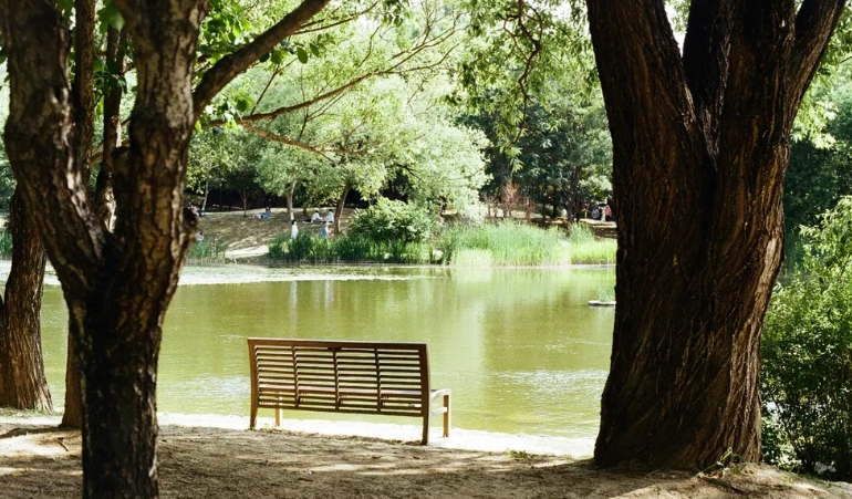 Η νύφη αναγκάζει την ηλικιωμένη γυναίκα να μετακομίσει στην παλιά αποθήκη, λίγες εβδομάδες αργότερα ένας άντρας μπαίνει μέσα.