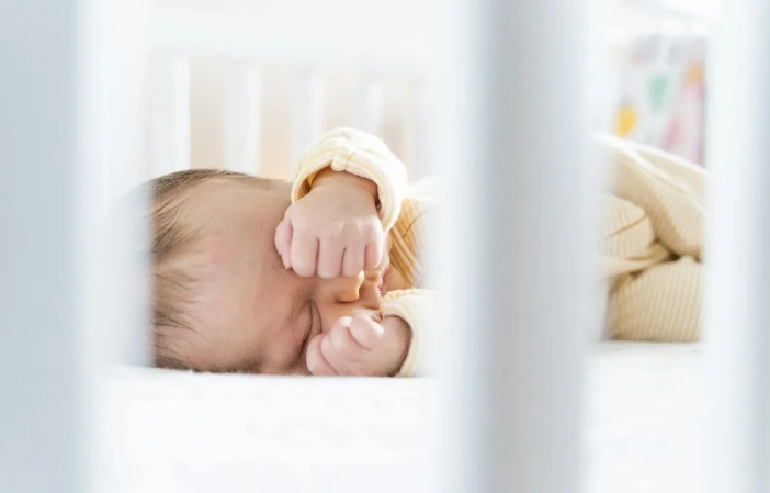 Σχεδόν δώσαμε τον χρυσό μας ριτρίβερ επειδή γάβγιζε στη νταντά — αλλά μετά είδα τα βίντεο από την κάμερα και έμεινα άφωνος
