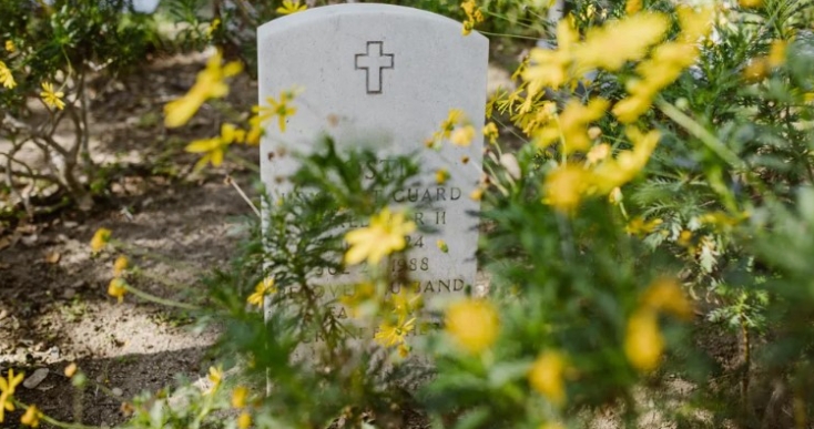 Ο 8χρονος Κλαρκ, συντετριμμένος από την απώλεια του δίδυμου αδελφού του, φεύγει νύχτα για το νεκροταφείο∙ εκεί συναντά απειλή, σωτηρία και τελικά βρίσκει ξανά την αγάπη της οικογένειας.