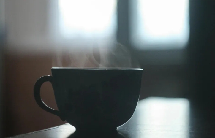 Η αρραβωνιαστικιά του πρώην συζύγου μου ήρθε στο σπίτι μου για να με διώξει μαζί με τα τέσσερα παιδιά μου — έτσι κήρυξα πόλεμο για το μέλλον των παιδιών μου.