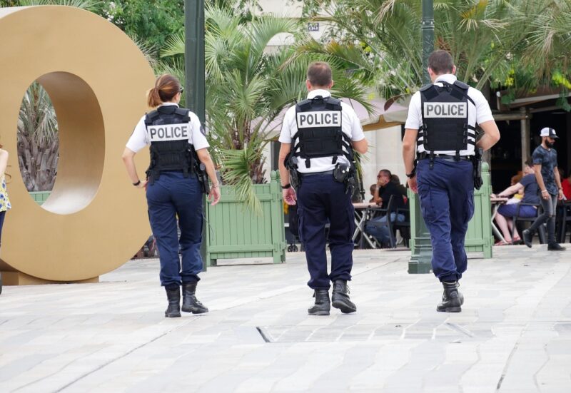 Η συγκινητική ιστορία του Ρεξ, του σκύλου–ήρωα που έσωσε δεκάδες ζωές και θυσιάστηκε στην τελευταία του αποστολή. Ένα αφιέρωμα σε ένα πιστό καρδιοχτύπι που δεν θα ξεχαστεί ποτέ.