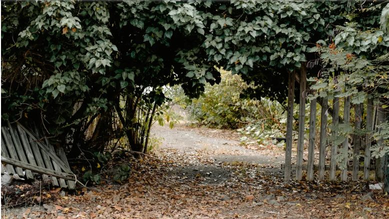 Ένας πλούσιος άντρας αρνήθηκε να επισκευάσει τον φράχτη μου μετά που τον χτύπησε με τη Rolls-Royce του – αυτό που βρήκα την επόμενη μέρα στον κήπο μου με άφησε άφωνο.