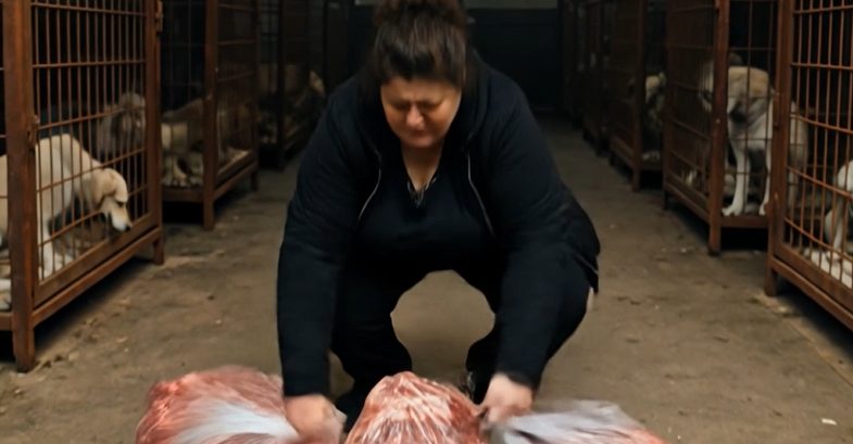 Κάθε μέρα, μια ηλικιωμένη γυναίκα αγόραζε 60 κιλά μοσχαρίσιο κρέας. Κανείς δεν μπορούσε να καταλάβει γιατί. Μέχρι που η αστυνομία ανακάλυψε τι πραγματικά το έκανε.